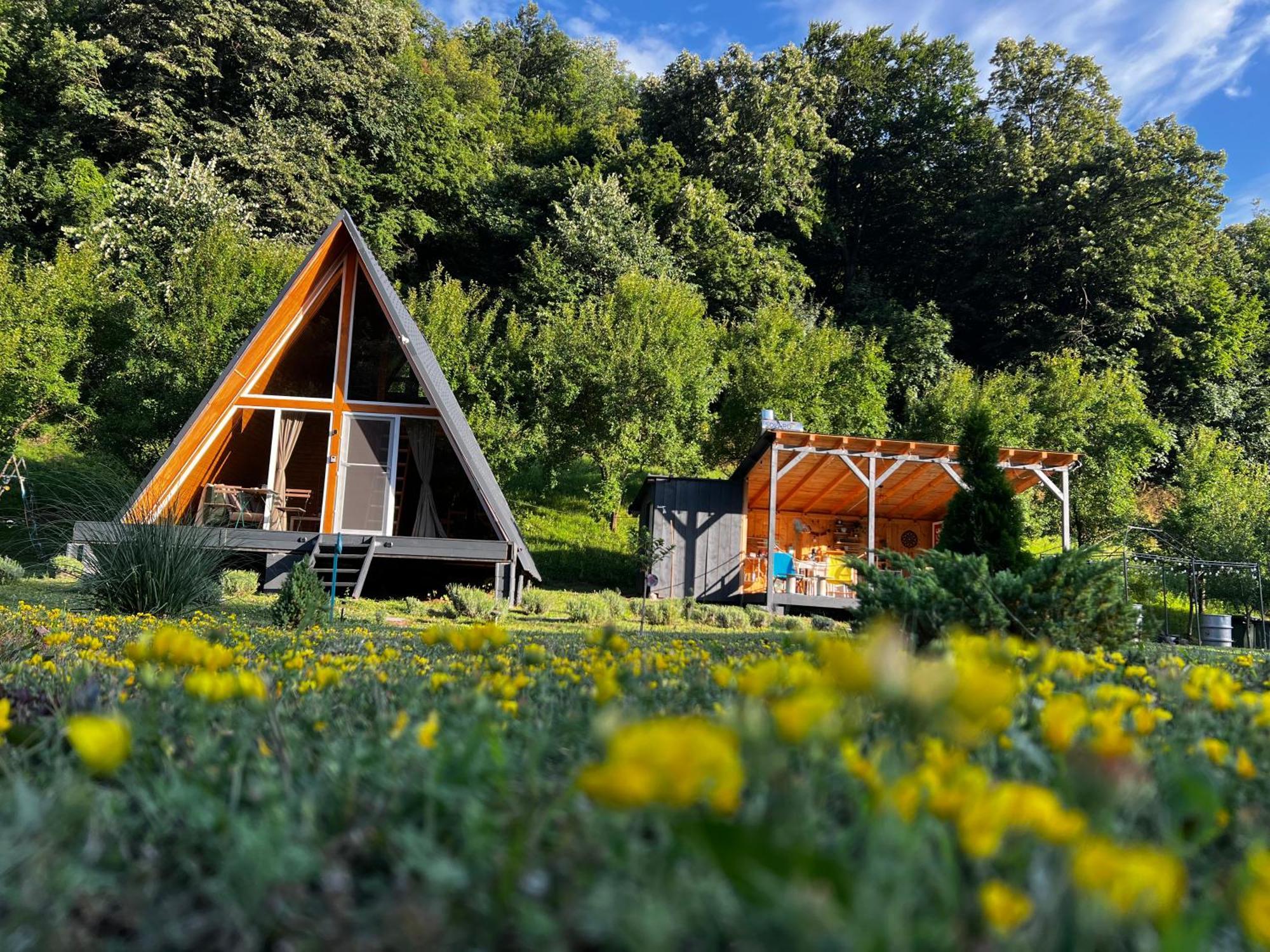 Cabane A-Frame Svinita Exterior foto